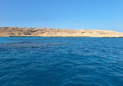Meer